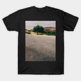 Olive Tree in Moroccan Countryside T-Shirt